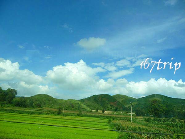 用心服務(wù)36載，攜手四川省中國(guó)青年旅行社，踏上精彩旅程
